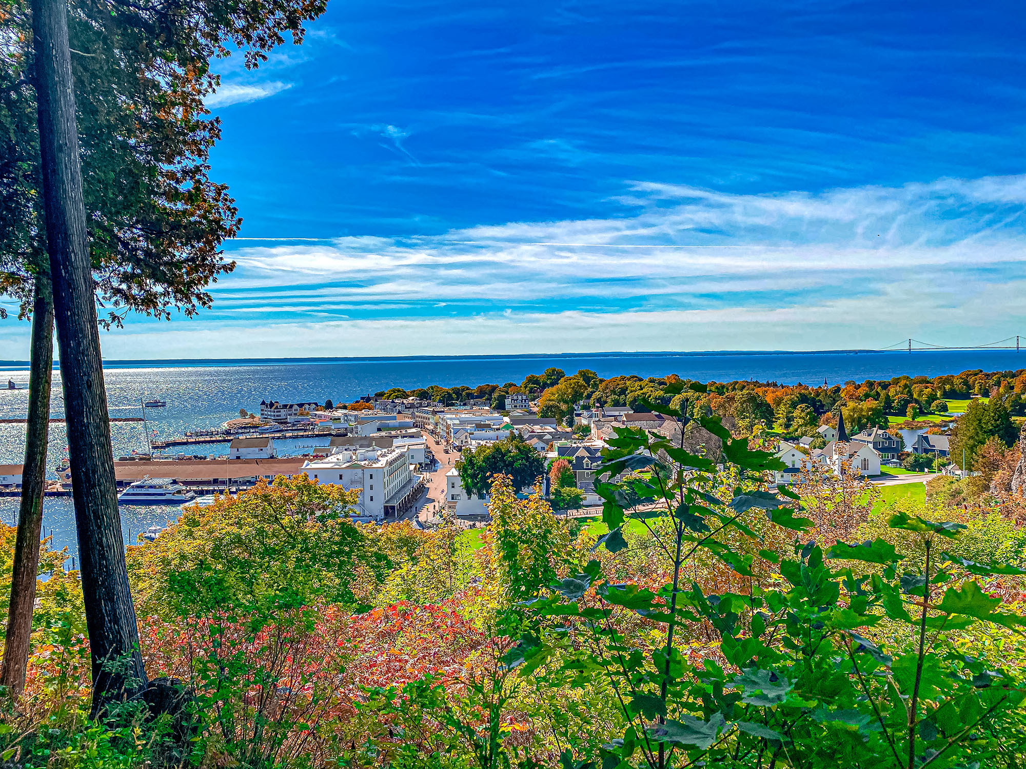Mackinac Island View