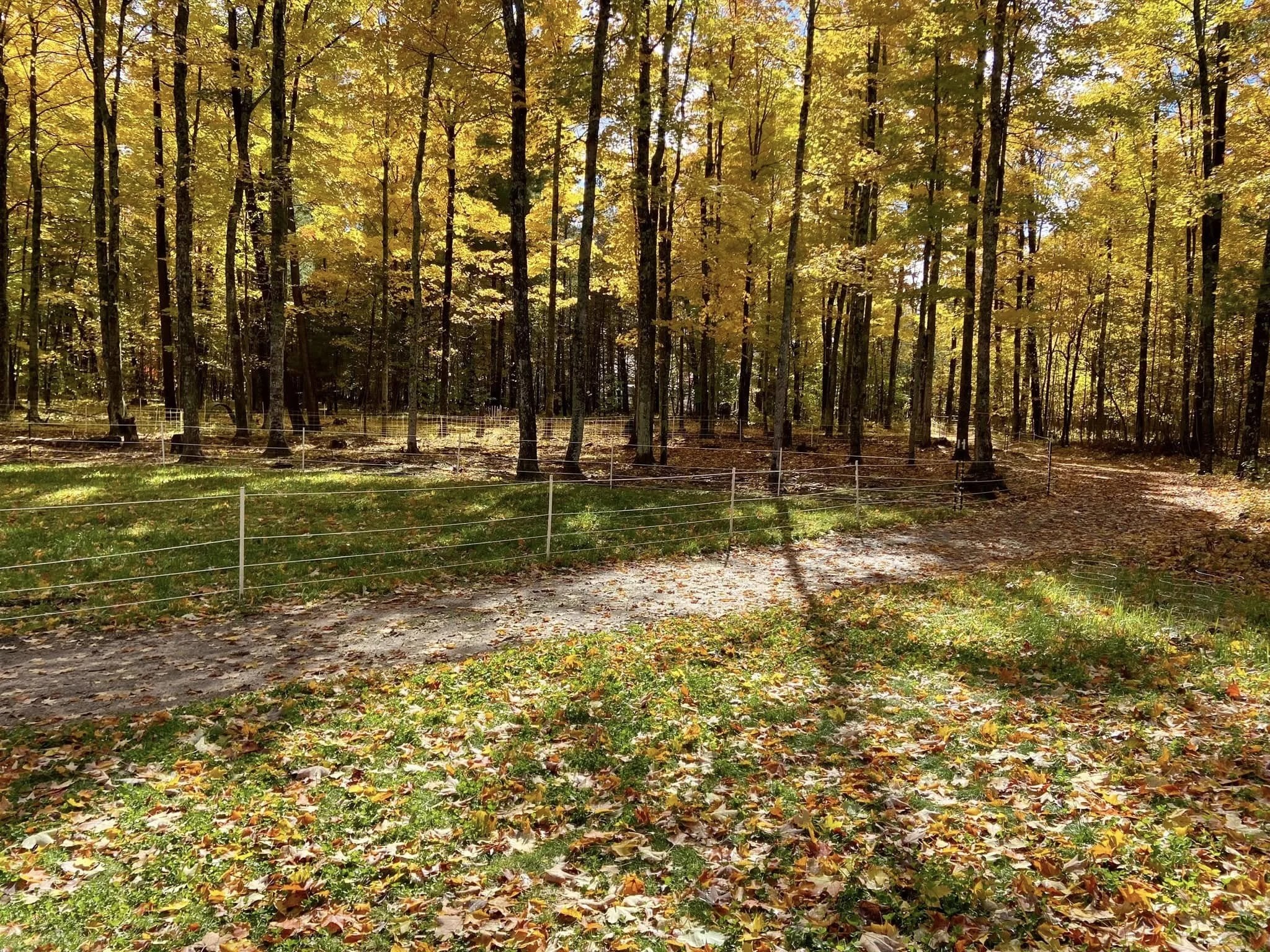 wanderwood farmstead in fall